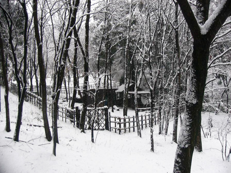 雪化粧をした宮谷戸炭釜の景色